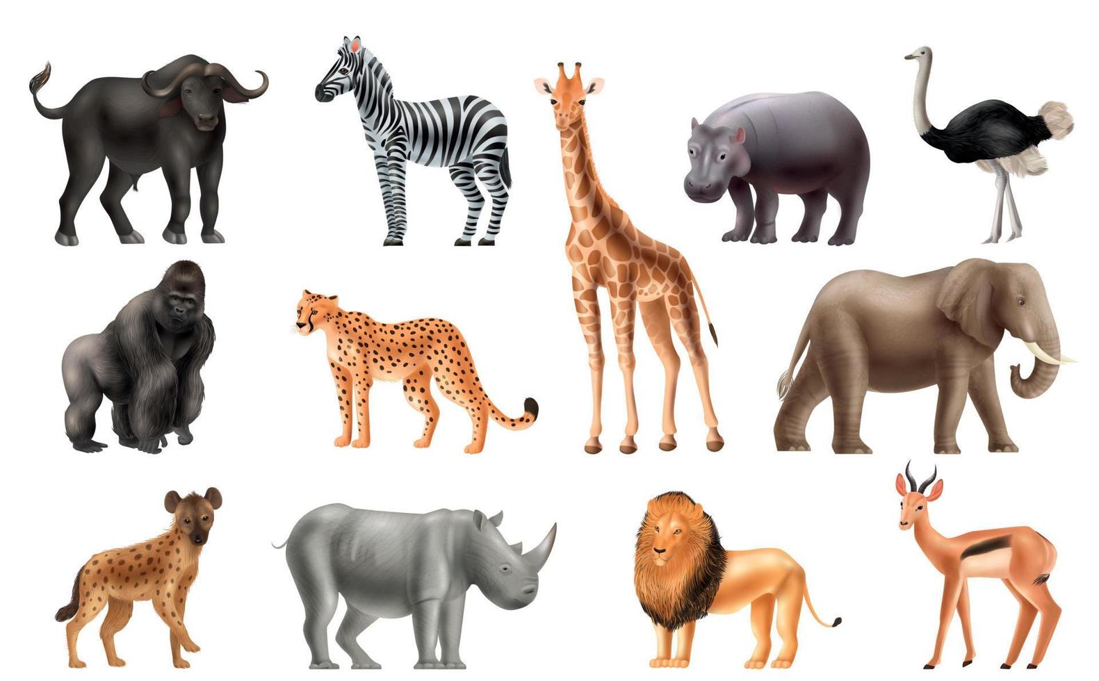 realistic animals africa set vector