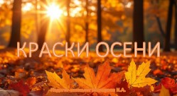 Краски осени иконка